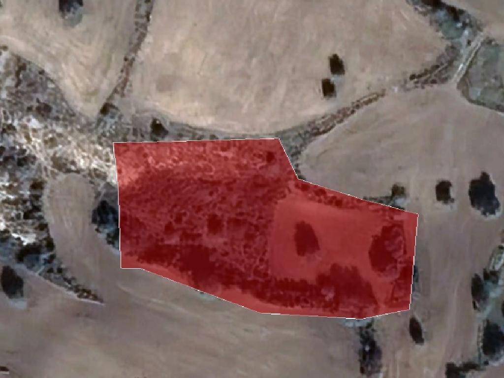 Field-Tochni-PR36726