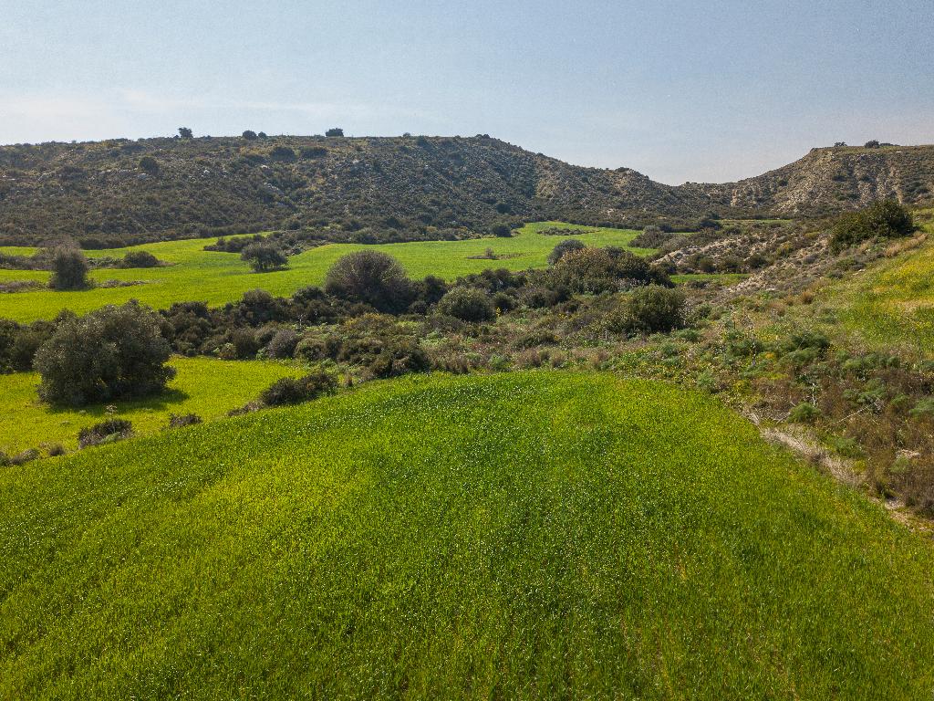 Field-Tochni-PR36726