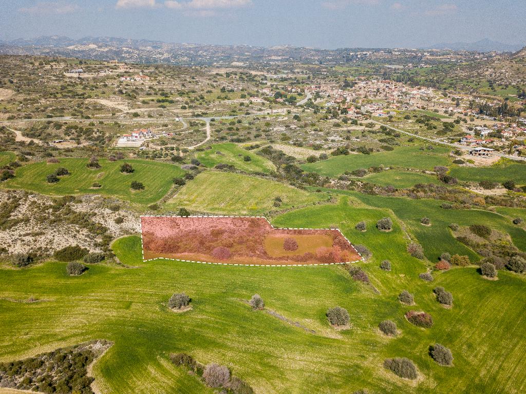 Field - Tochni, Larnaca