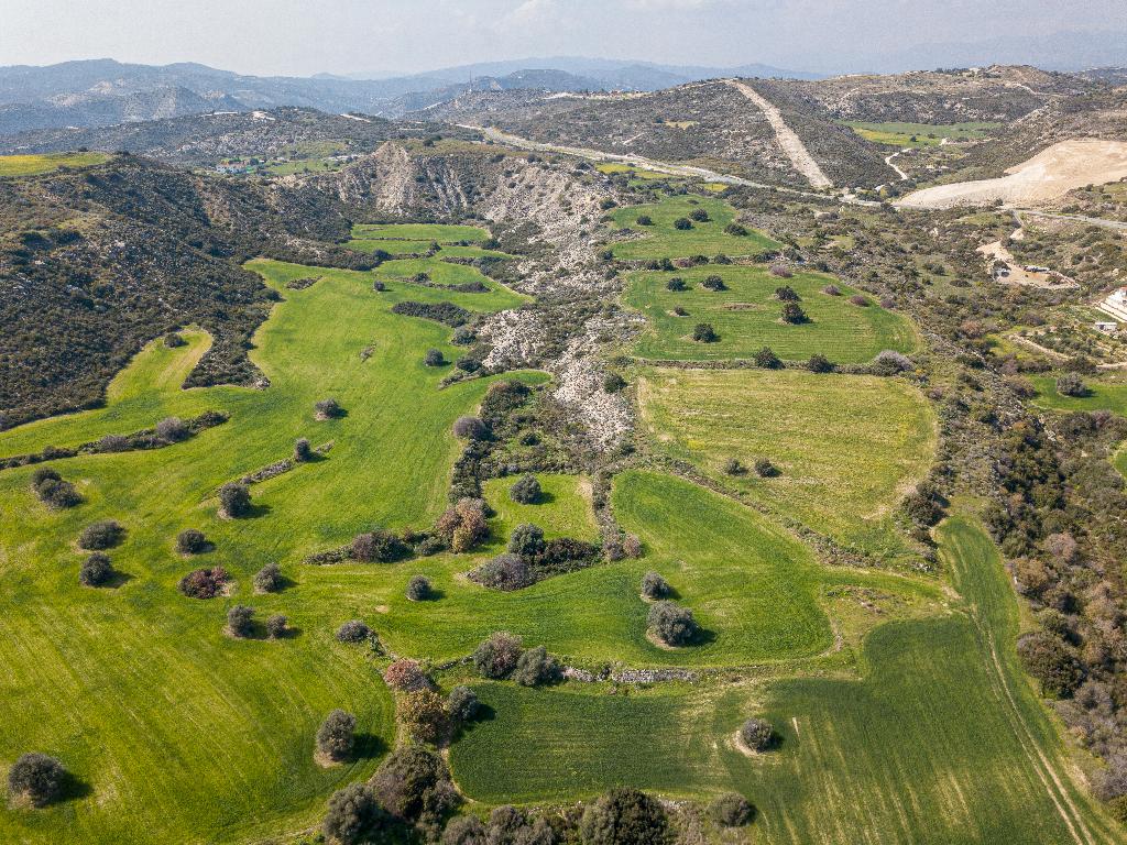Field - Tochni, Larnaca