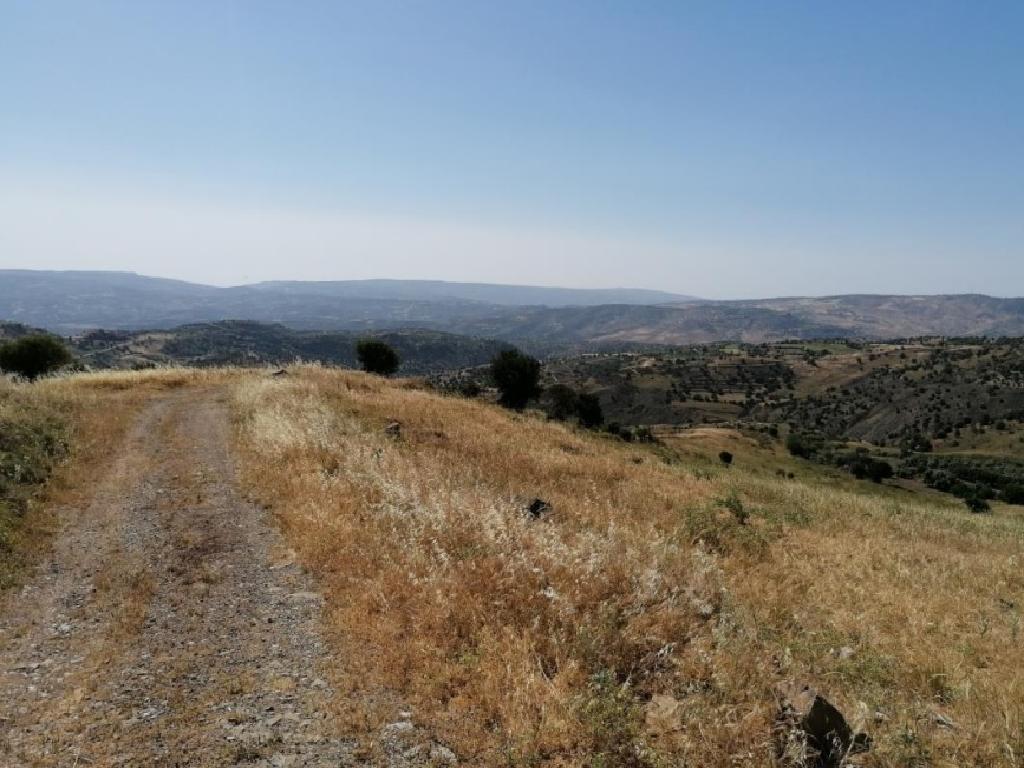 Field - Statos - Agios Fotios, Paphos