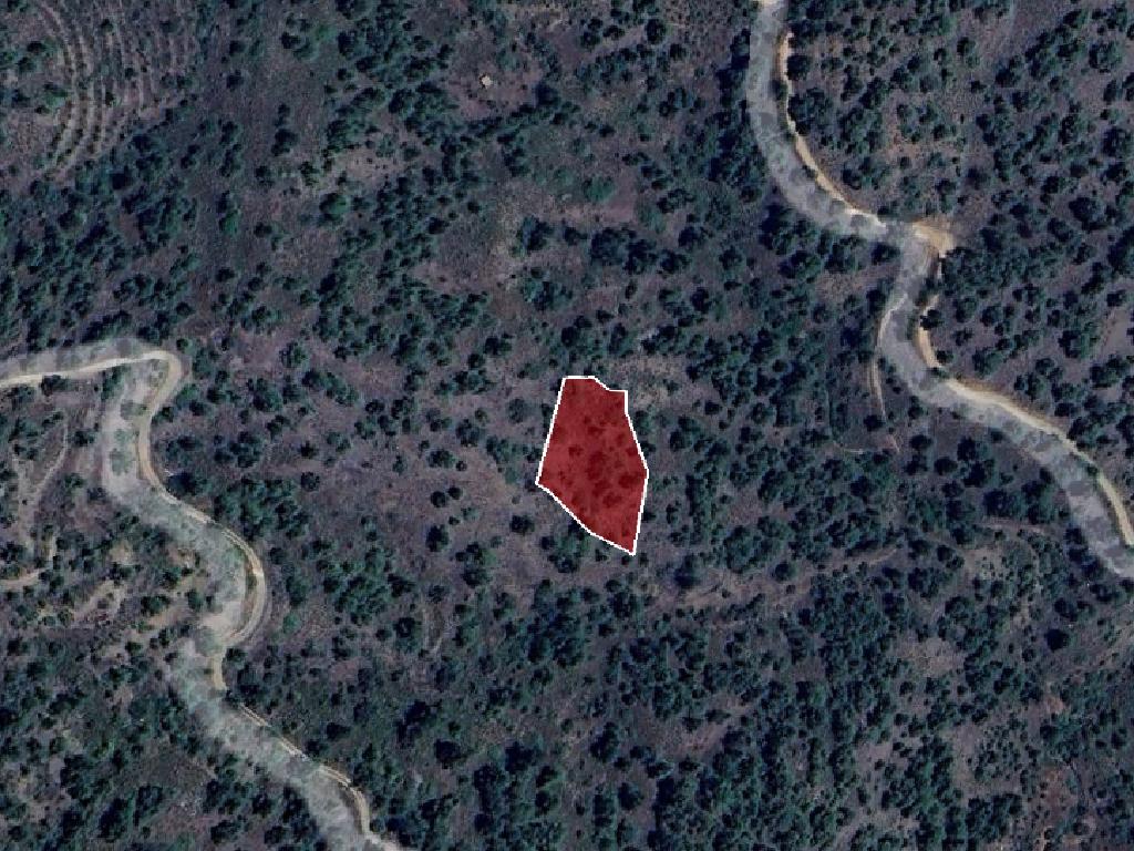 Field-Palaichori Morfou-PR37551