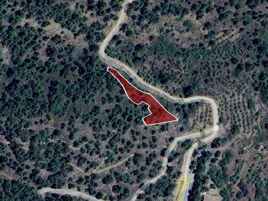 Field-Platanistasa-PR38854