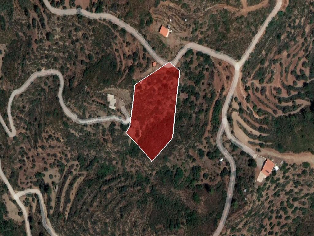 Field-Ora-PR39507