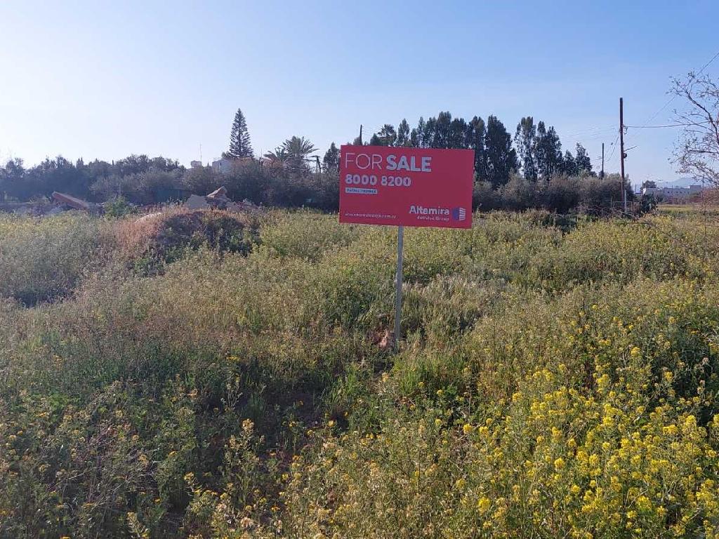 Field-Kokkinotrimithia-PR39906