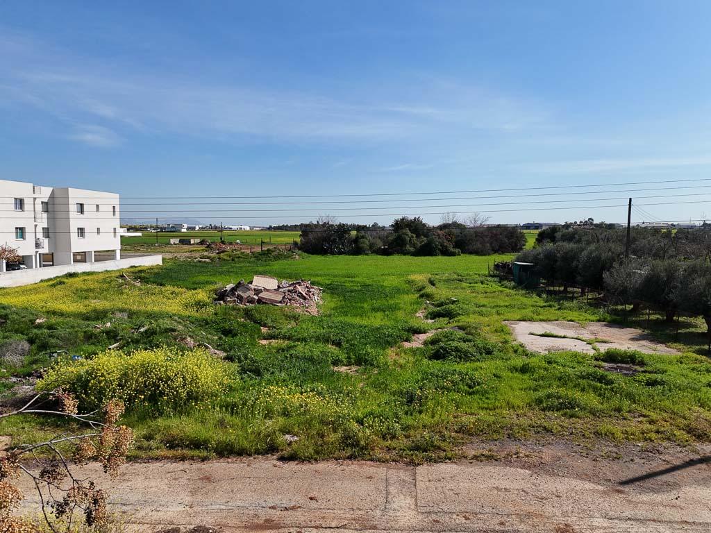 Field-Kokkinotrimithia-PR39906
