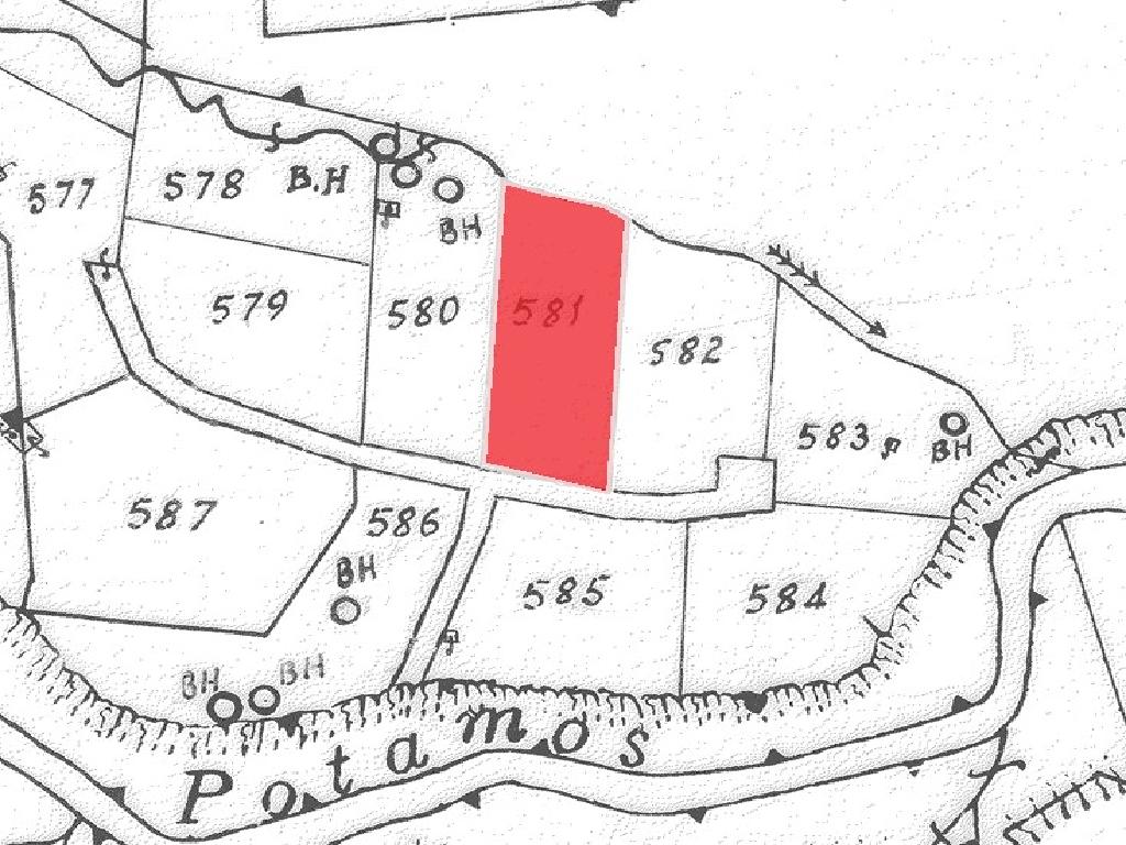 Field-Lithrodontas-PR40952