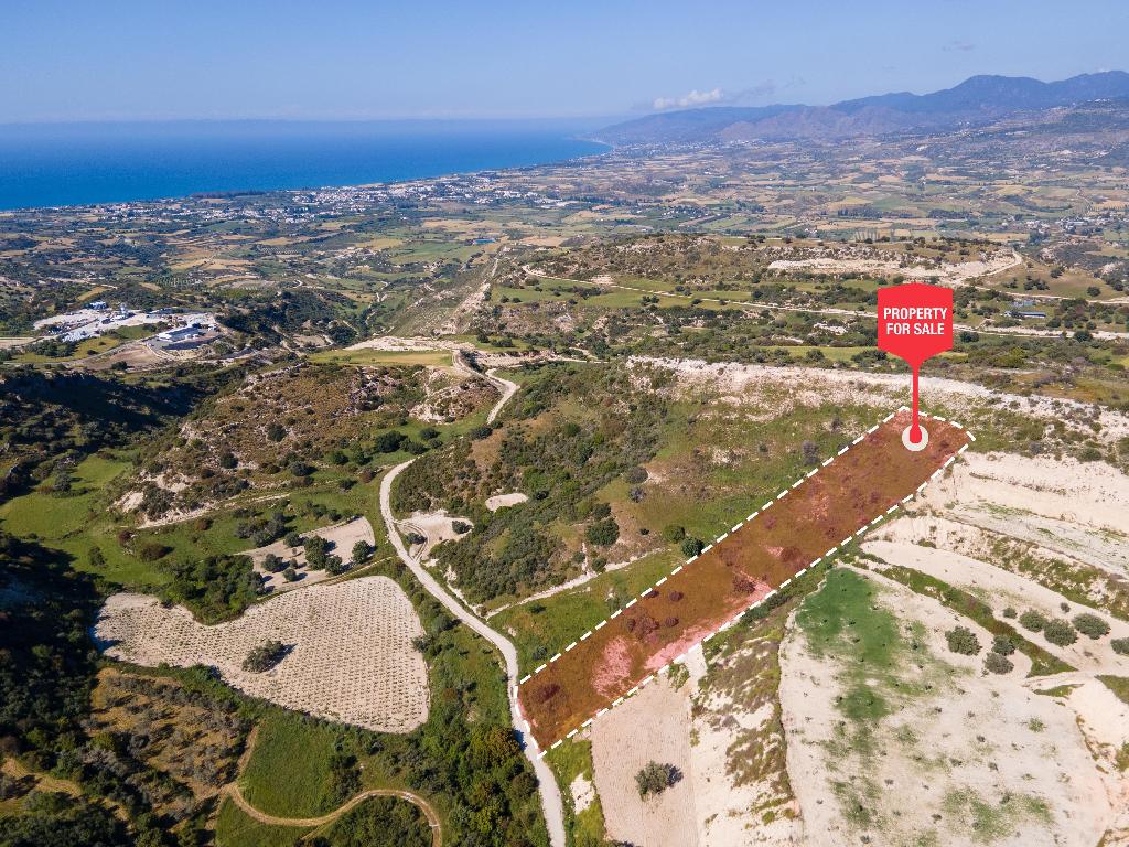 Field-Drouseia-PR41288