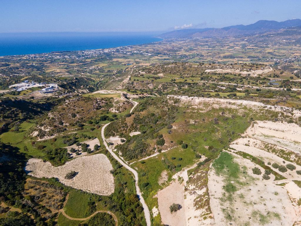 Field-Drouseia-PR41288