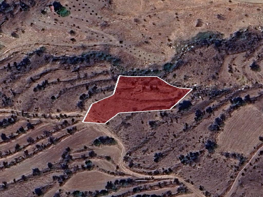 Field-Pentalia-PR42002
