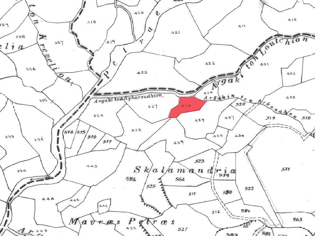 Field-Pentalia-PR42002