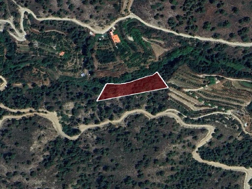 Field-Kaliana-PR42423
