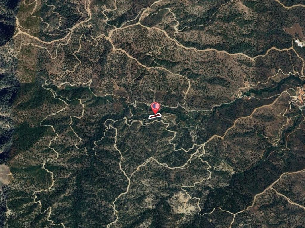 Field-Kaliana-PR42423