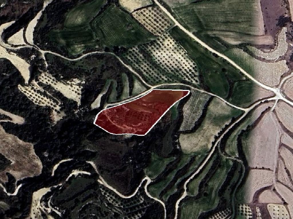 Field-Stroumpi-PR43144