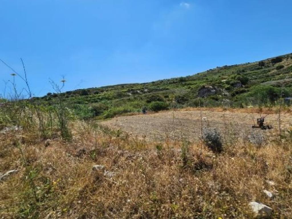 Field-Stroumpi-PR43144
