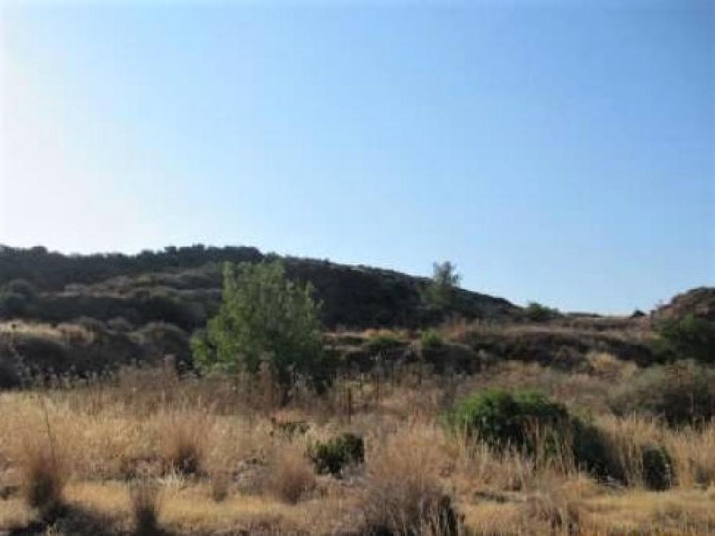 Field-Pano Pyrgos-PR13459