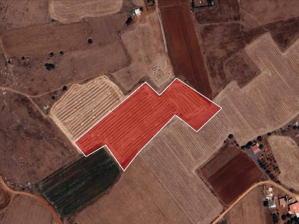 Field-Liopetri-PR13915