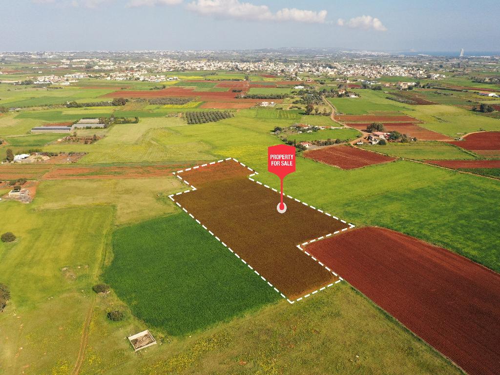 Field-Liopetri-PR13915
