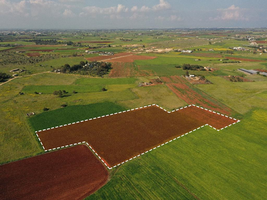 Field-Liopetri-PR13915