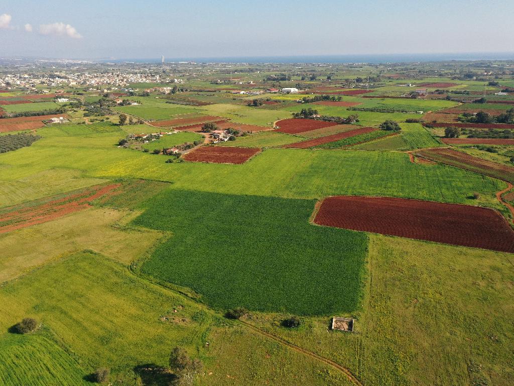 Field-Liopetri-PR13915