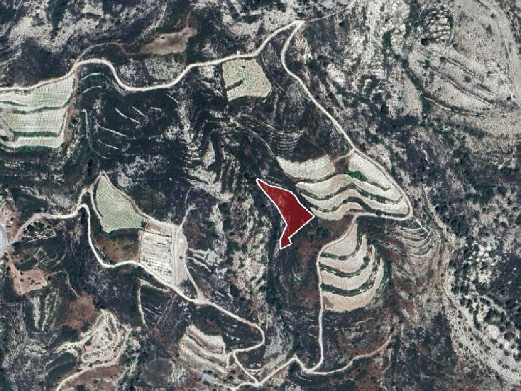 Field-Koilani-PR15266
