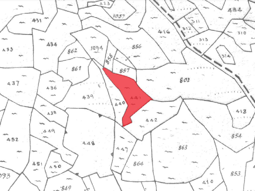 Field-Koilani-PR15266