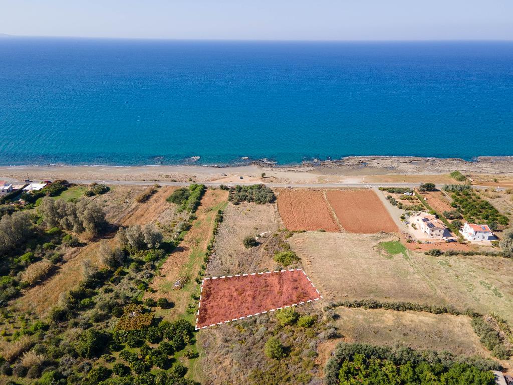 Field - Agia Marina (Chrysohous), Paphos