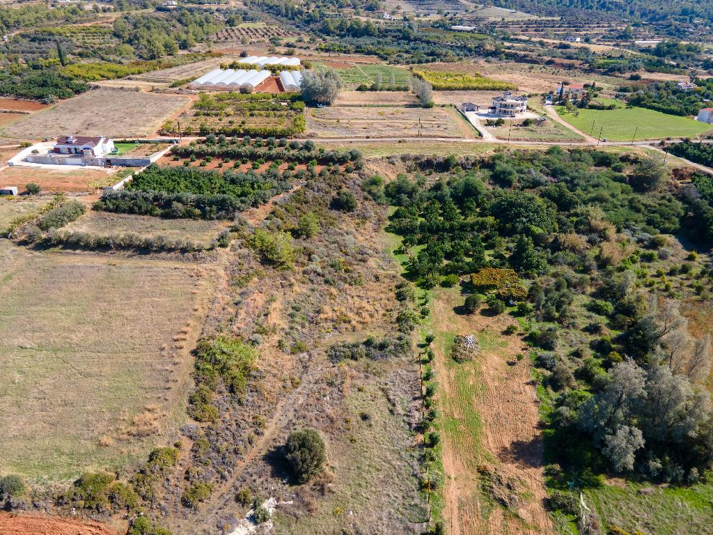 Field - Agia Marina (Chrysohous), Paphos