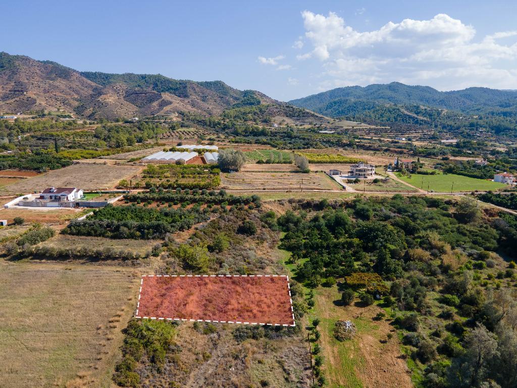 Field - Agia Marina (Chrysohous), Paphos