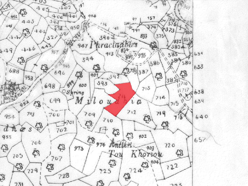 Field-Melini-PR34717