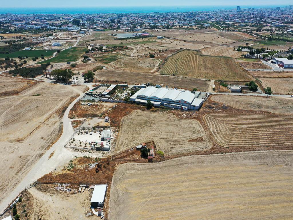 Field - Aradippou, Larnaca