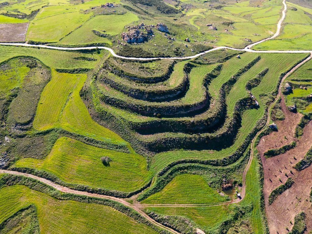 Field - Drouseia, Paphos