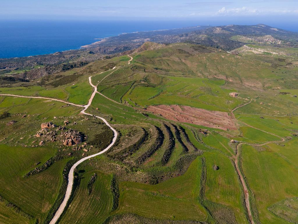 Field - Drouseia, Paphos