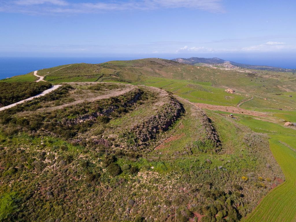 Field - Drouseia, Paphos