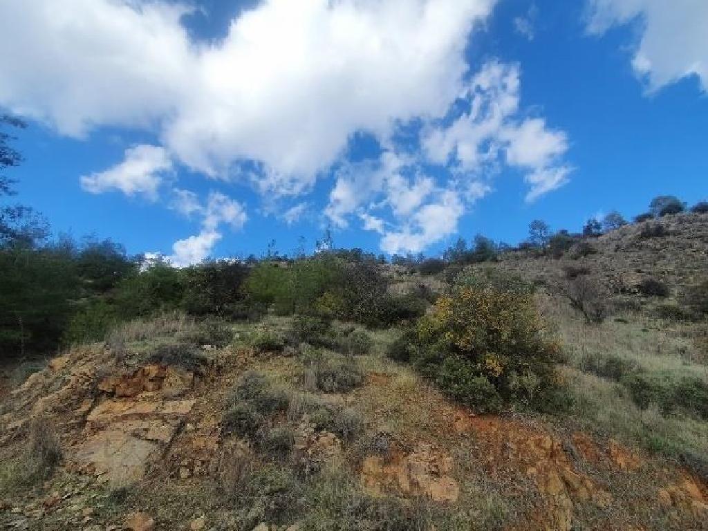 Field-Palaichori Orinis-PR37549