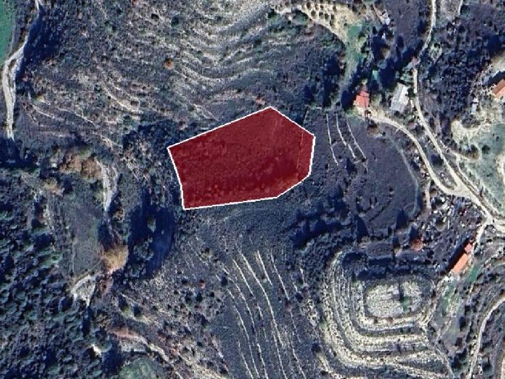 Field-Agios Therapon-PR39429