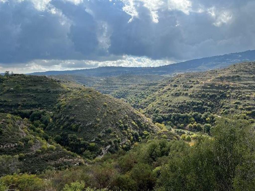 Field-Agios Therapon-PR39429