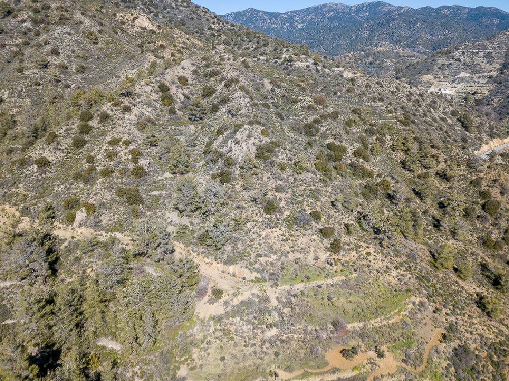 Field-Kalo Chorio-PR39907
