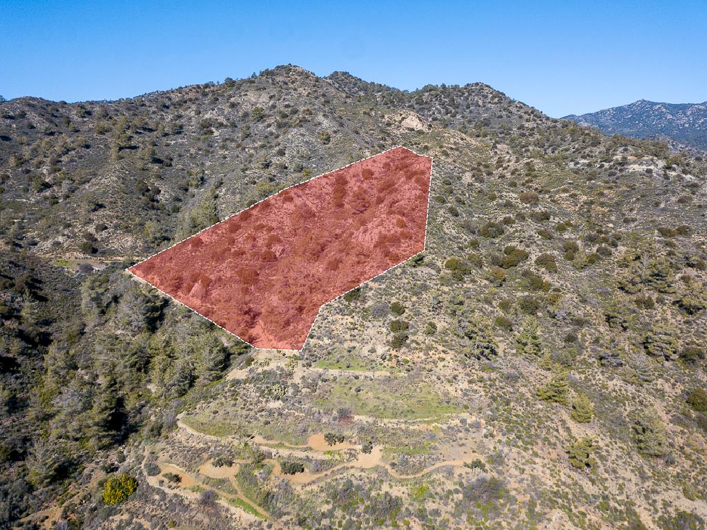 Field-Kalo Chorio-PR39907
