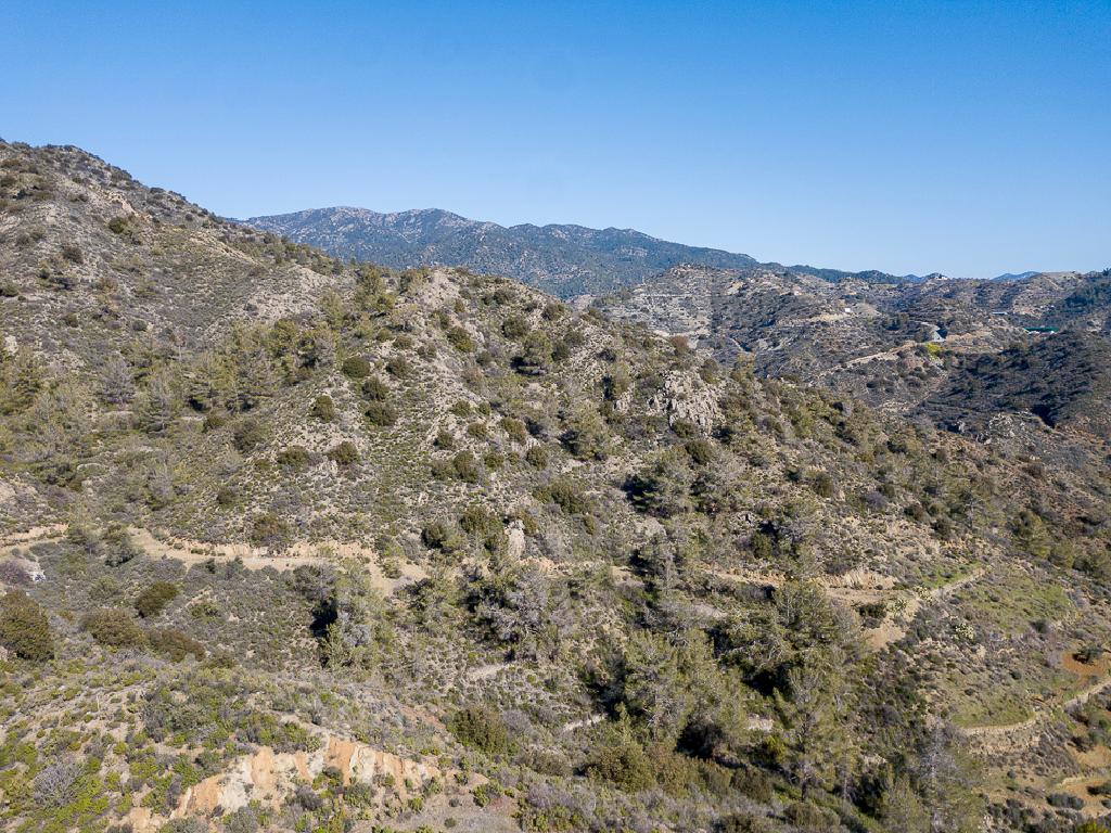 Field-Kalo Chorio-PR39907