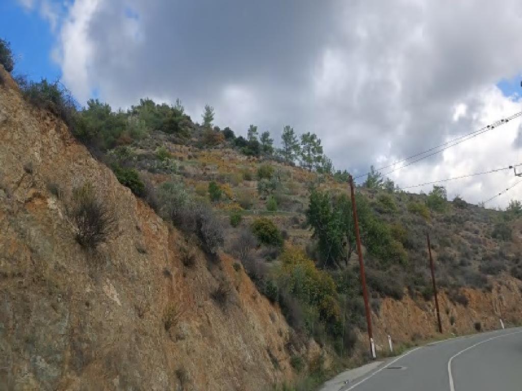Field-Kalo Chorio-PR39907