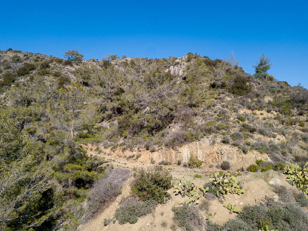 Field-Kalo Chorio-PR39907