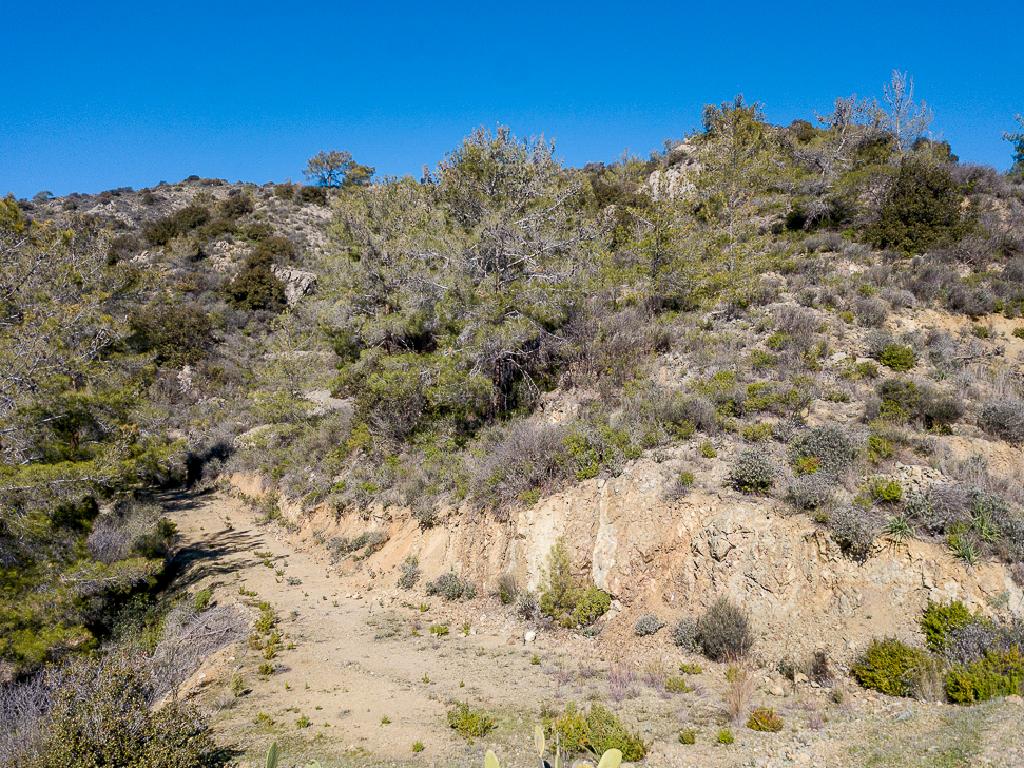 Field-Kalo Chorio-PR39907