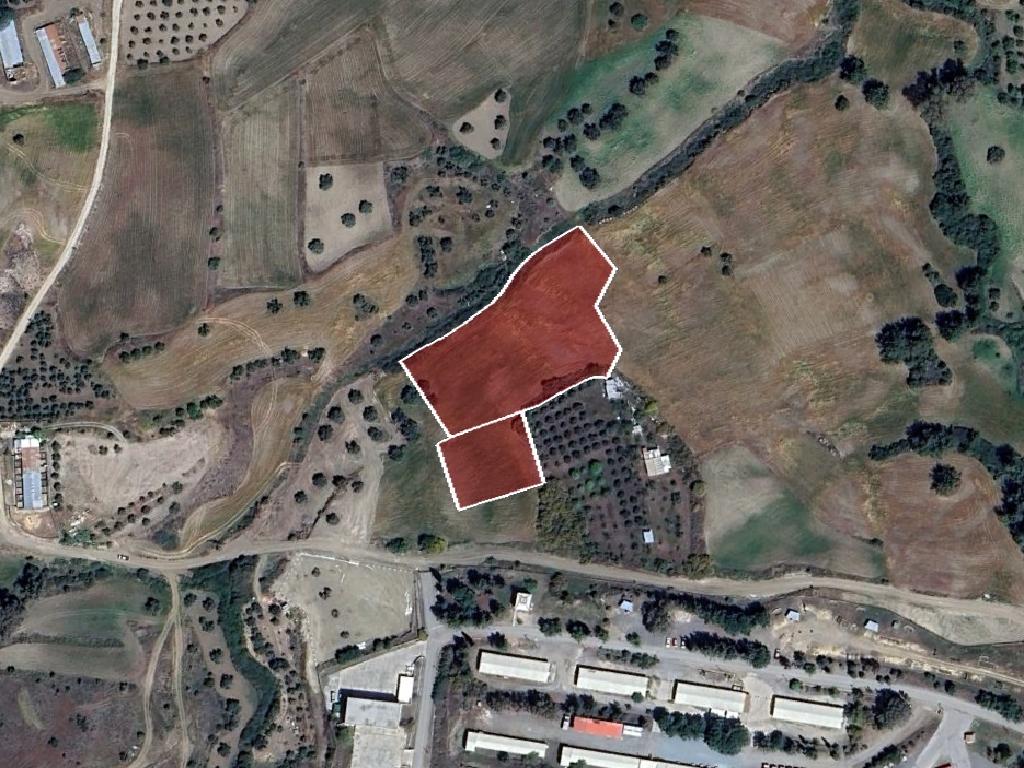 Field - Agrokipia, Nicosia
