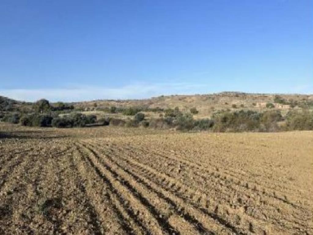 Field - Agrokipia, Nicosia