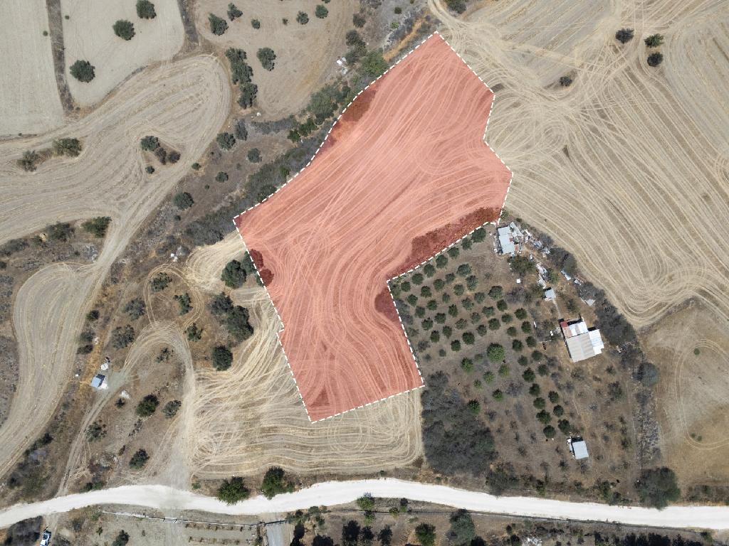 Field - Agrokipia, Nicosia