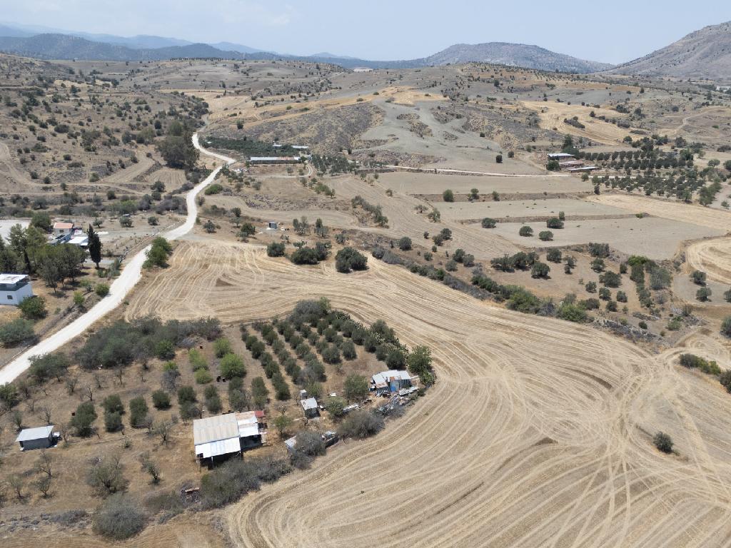 Field - Agrokipia, Nicosia