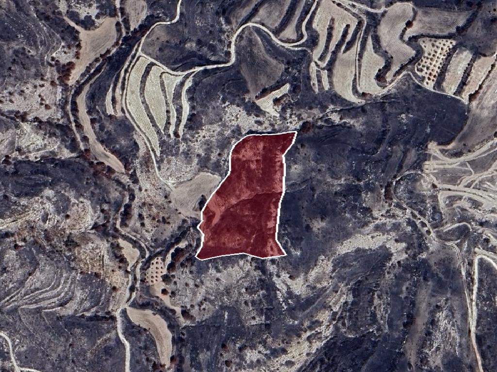 Field-Polemi-PR40970