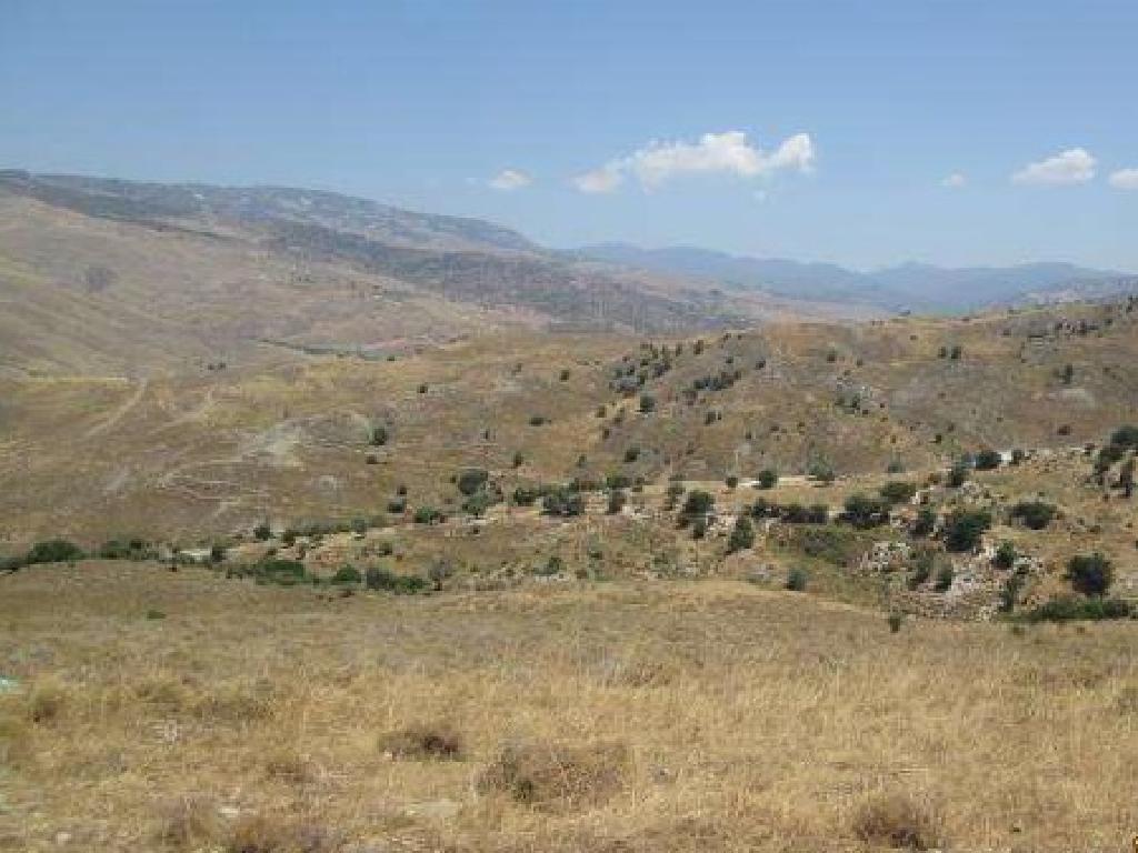 Field-Polemi-PR40970