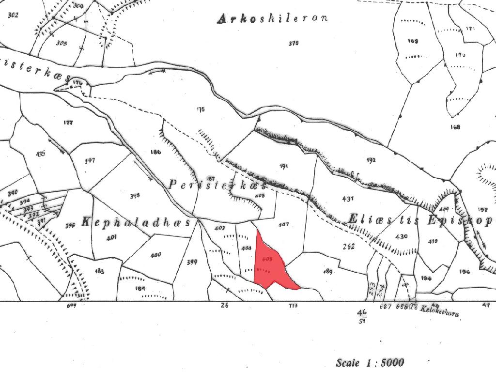 Field-Kelokedara-PR41997
